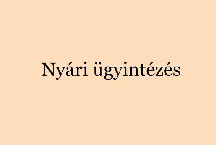 Nyri gyintzs