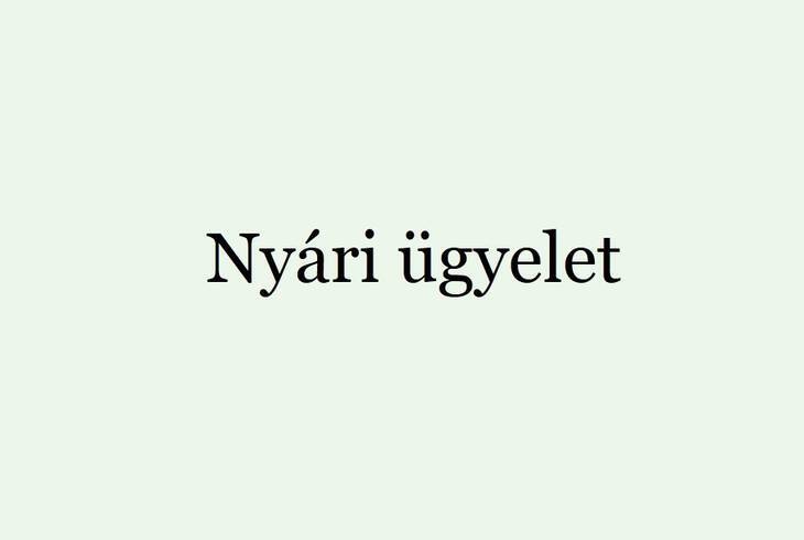 Nyri gyintzs