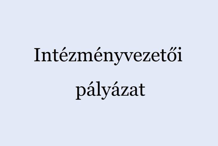 Intzmnyvezeti plyzati kirs